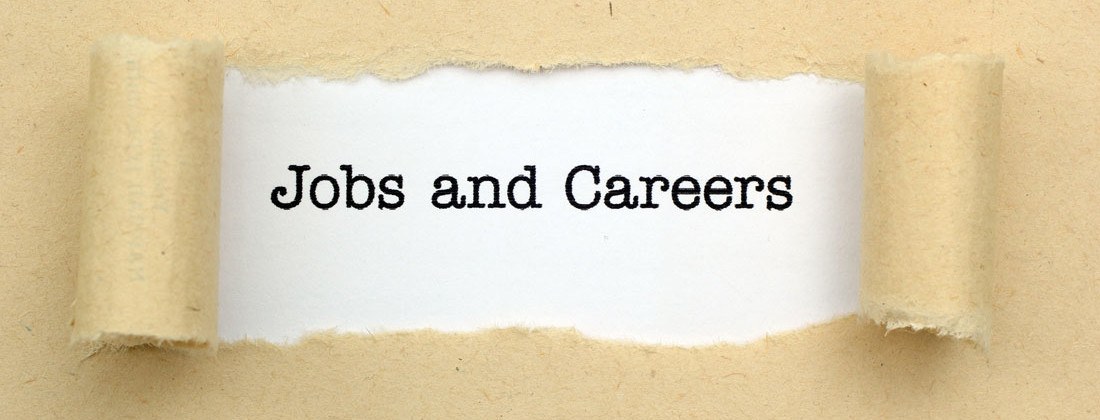 Job-or-Career